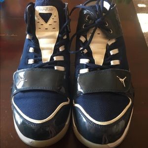 Nike Air Jordan Evolution